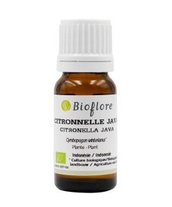 Java citronella (Cymbopogon winterianus) BIO, 10 ml